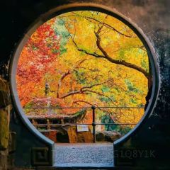 SU WAI PO User Photo