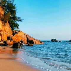 DE YI DAPAIDANG User Photo