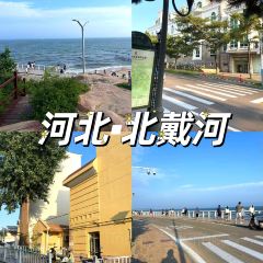 Baijiazhaobing User Photo