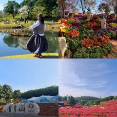 邕味老友張用戶圖片