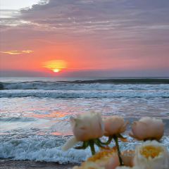 海岛日记(养马岛店) User Photo