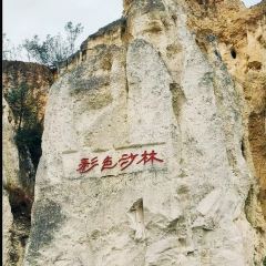 Zhan yi gong shi la zi Chicken (zhan yi) User Photo