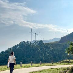 大唐苏园生态农庄 User Photo