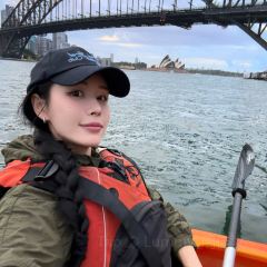 Sails on Lavender Bay User Photo