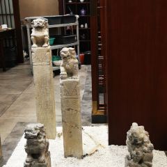 Cengfuxing User Photo