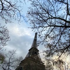 Prunier張用戶圖片