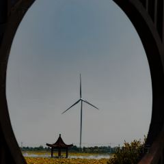 杨五龙虾(兰亭熙园店) 여행 사진