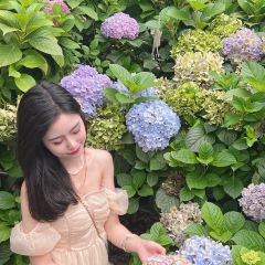 海如的花園張用戶圖片