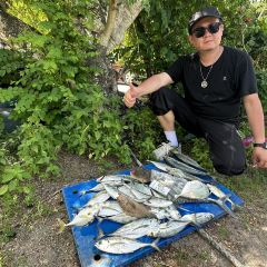 Penang Hai Boey Seafood User Photo