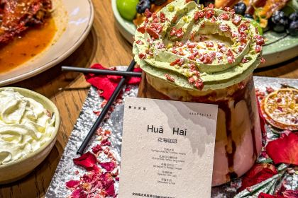 Acappella Live Music