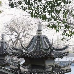 江大小后街張用戶圖片