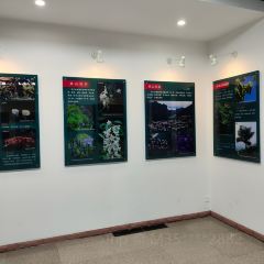 下鲁表山羊烧烤火锅店 User Photo