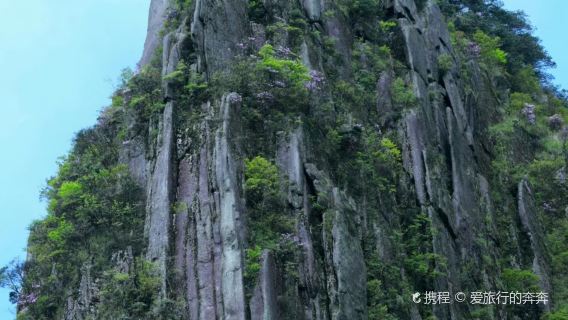Yangshimu