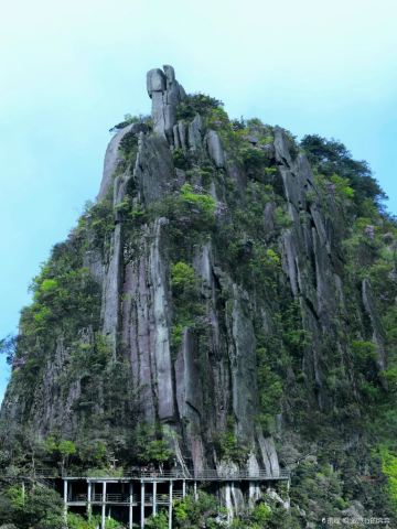 Yangshimu