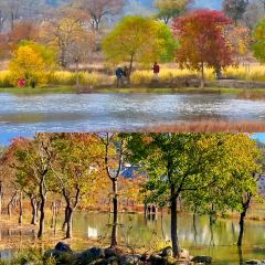 Sage Hall Homestay User Photo