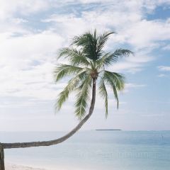 The Quiet Zone 여행 사진
