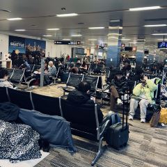 Dish D'lish User Photo