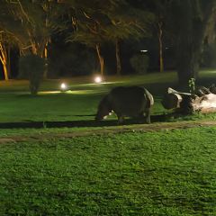 Lake Naivasha Country Club User Photo
