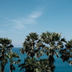 The Commune | Terrace & Bar User Photo