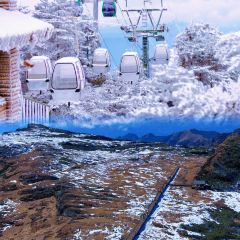 轿子山游雪山庄 User Photo