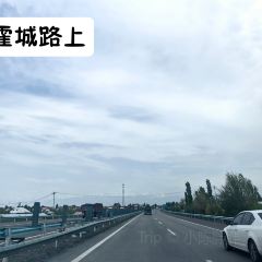 晃晃咖啡 User Photo