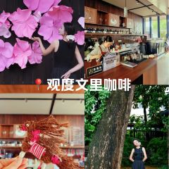 观度文里咖啡 User Photo