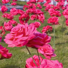 Hongyunhuoguoxiaozhan (sanfangqixiang) User Photo