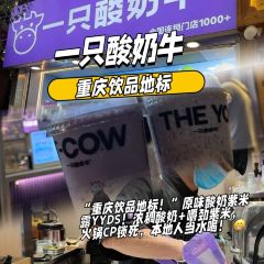 Yizhisuannainiu (jiefangbeibayilu) User Photo