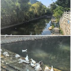 Shitongtian Restaurant • Authentic Zhenan Cuisine User Photo