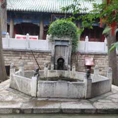 張記煎餅張用戶圖片