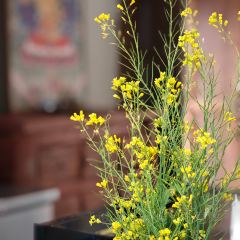 Abuluzicang Restaurant (jiuzhaigou) User Photo