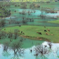 Gwn ndoet vmz Bouxcuengh User Photo