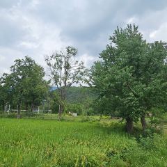 Sage Hall Homestay User Photo