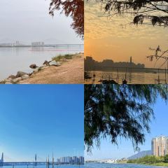 鸽皇餐厅·16年老字号·专业做鸽(东城店) User Photo