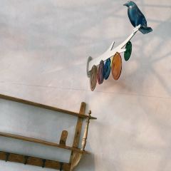 Dacomecca張用戶圖片