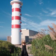 大樂之野（嵊泗黃龍島燈塔店）·野有食（黃龍島店）張用戶圖片