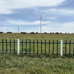 塞伊德蒙餐(兴安南路店) User Photo
