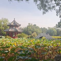 保定院子(北唐店) User Photo