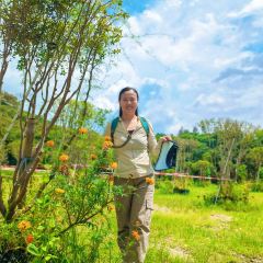 罗浮山天然谷(那里花开店) User Photo