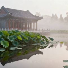 LAO BAO DING User Photo