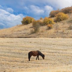 六月瓣咖啡 User Photo