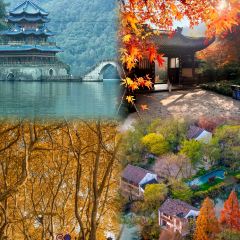 TAIHURENJIA·SUZHECAI User Photo