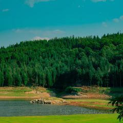 Zhan yi gong shi la zi Chicken (zhan yi) User Photo