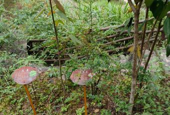 舌间·灵运仙洞餐厅 User Photo