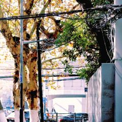 小朱麻辣串(益民街店) User Photo