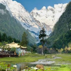 半途而沸 白塔·观景咖啡 User Photo