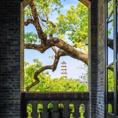 ZHENGLIANG SEAFOOD User Photo