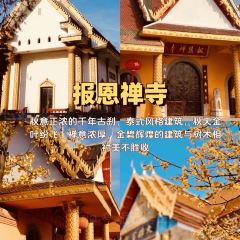 南山一品酒樓張用戶圖片