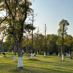 田小狗的饭店(碧桂园店) User Photo