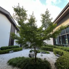 吉餐廳張用戶圖片